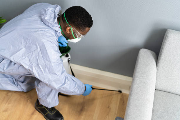 Best Residential Pest Control  in Country Clu, CA